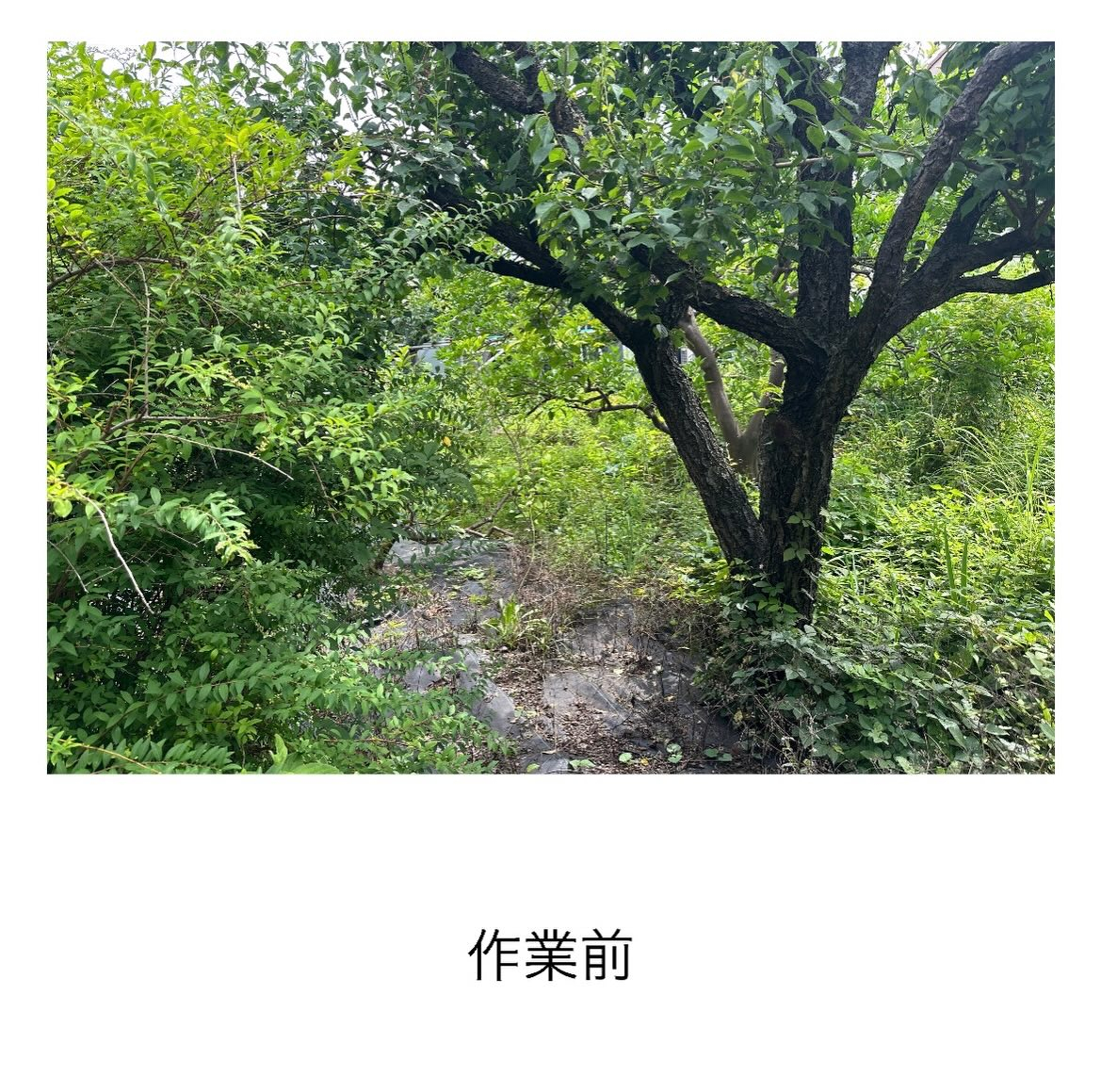 ・・・・・・・・・・・・・・・・・・・・・・・・・・