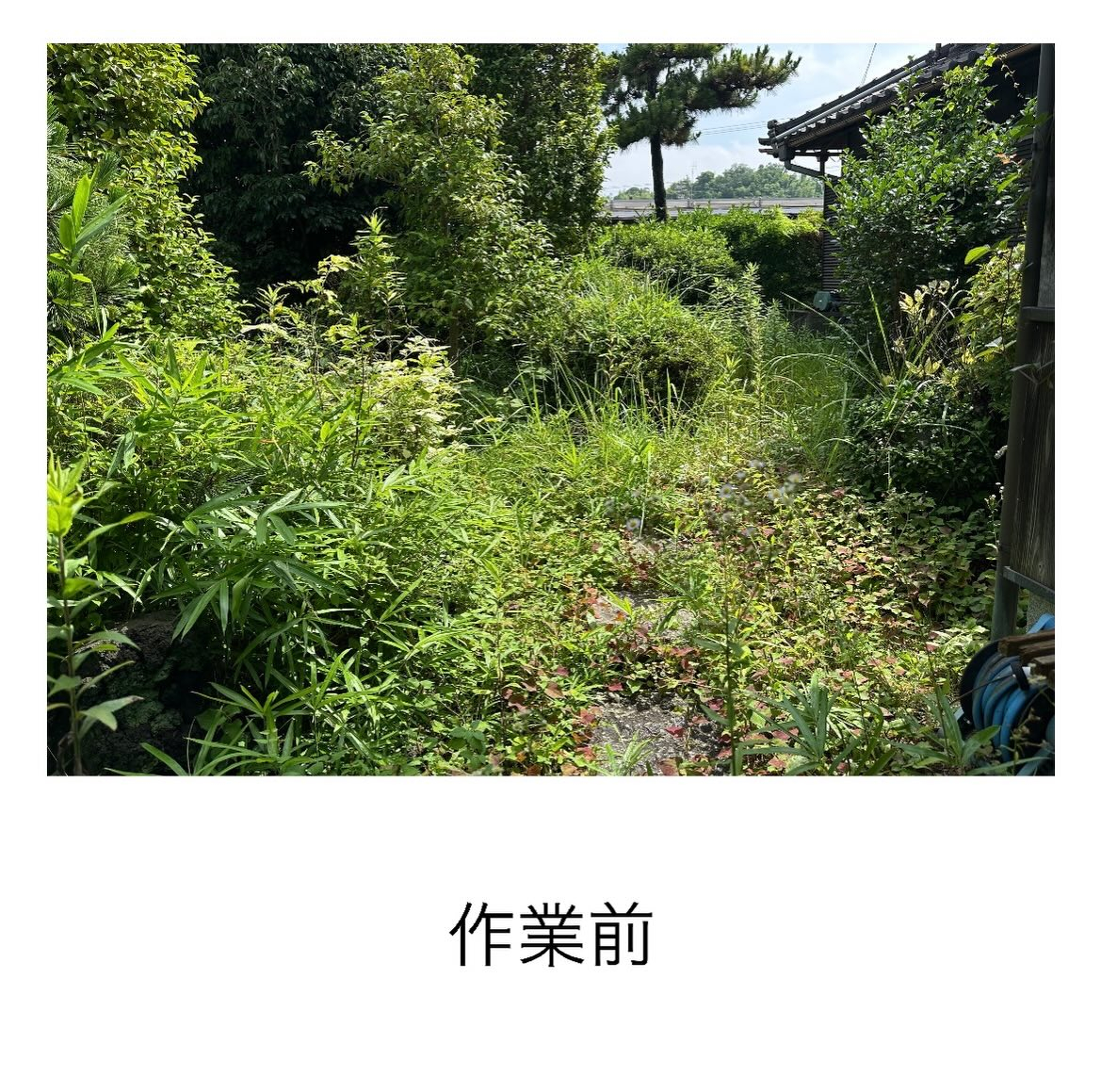 ・・・・・・・・・・・・・・・・・・・・・・・・・・