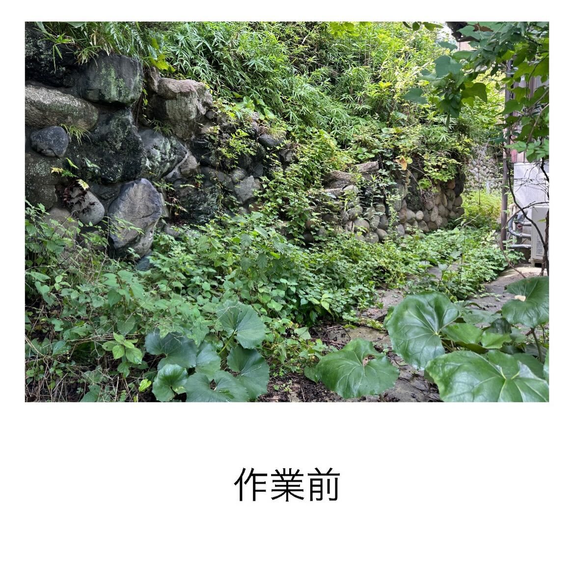 ・・・・・・・・・・・・・・・・・・・・・・・・・・
