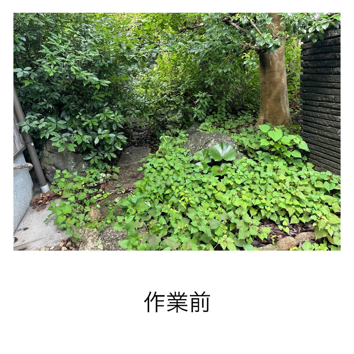 ・・・・・・・・・・・・・・・・・・・・・・・・・・