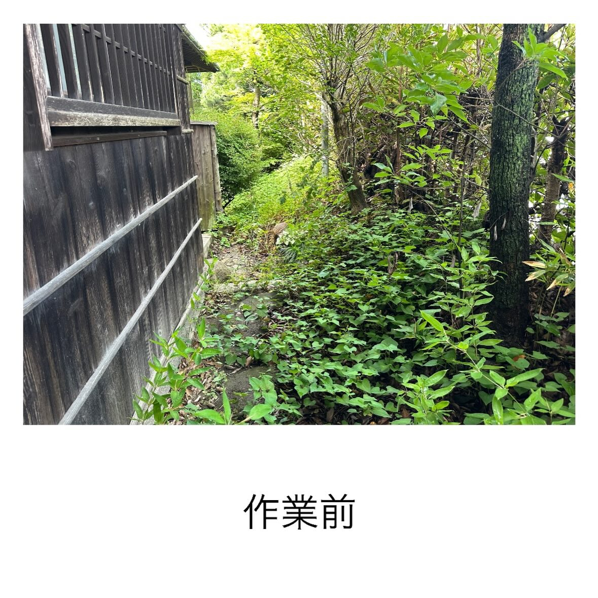 ・・・・・・・・・・・・・・・・・・・・・・・・・・