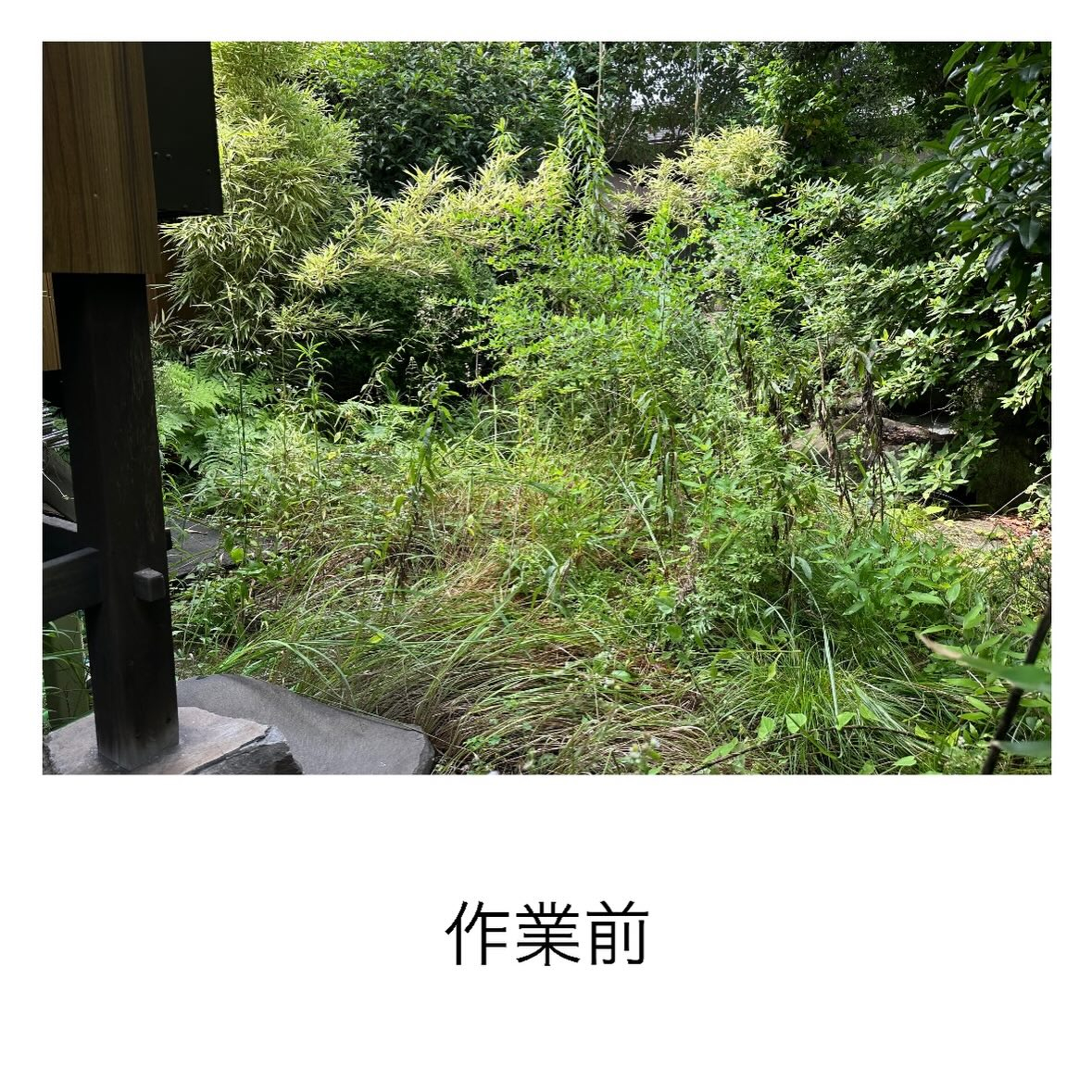 ・・・・・・・・・・・・・・・・・・・・・・・・・・