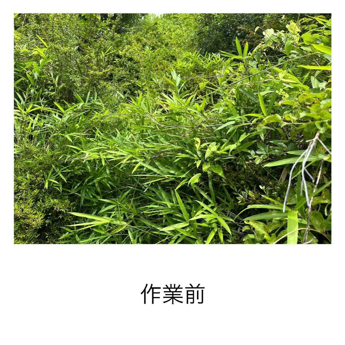 ・・・・・・・・・・・・・・・・・・・・・・・・・・