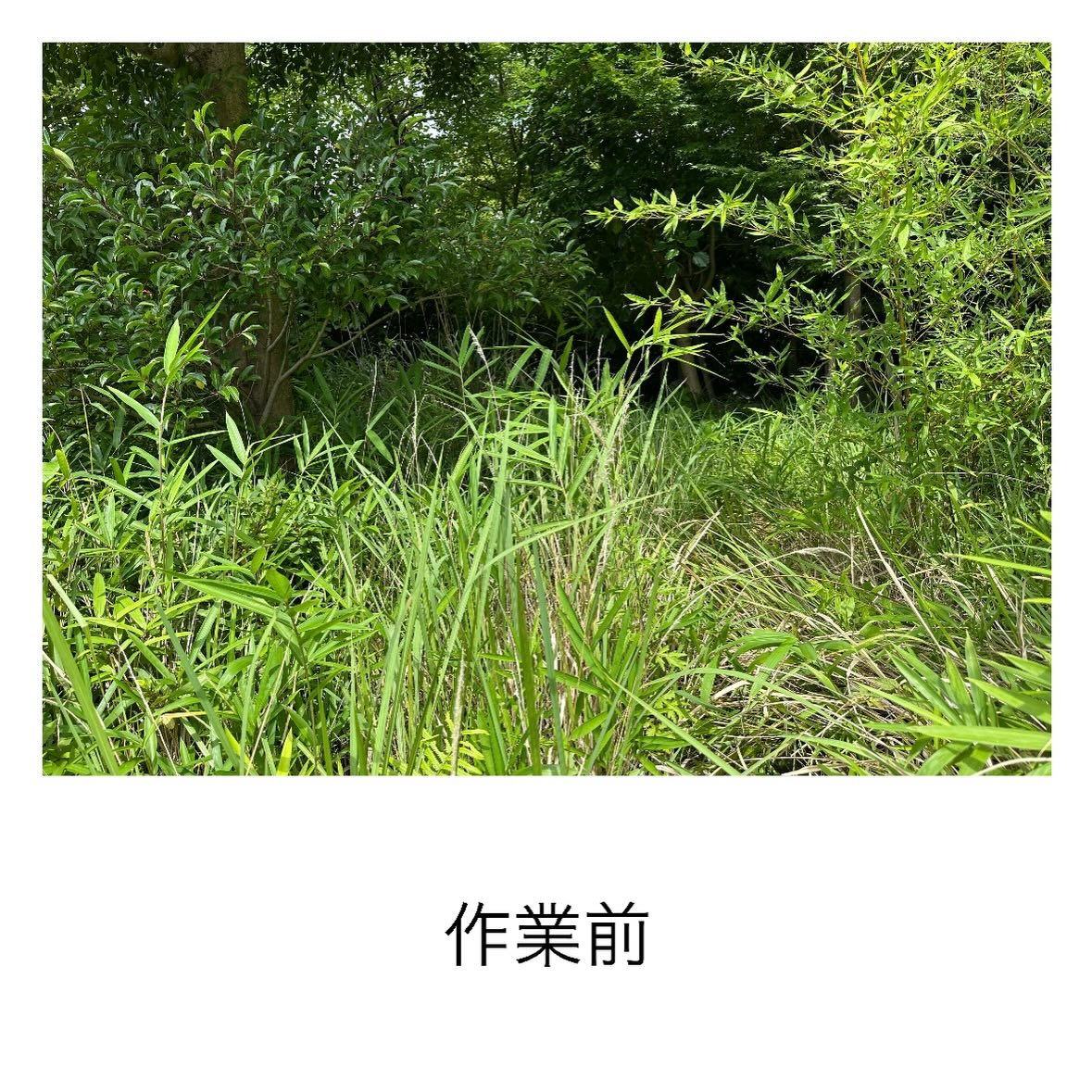 ・・・・・・・・・・・・・・・・・・・・・・・・・・
