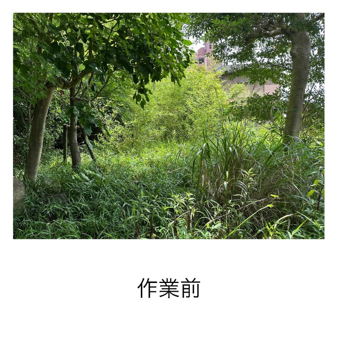 ・・・・・・・・・・・・・・・・・・・・・・・・・・