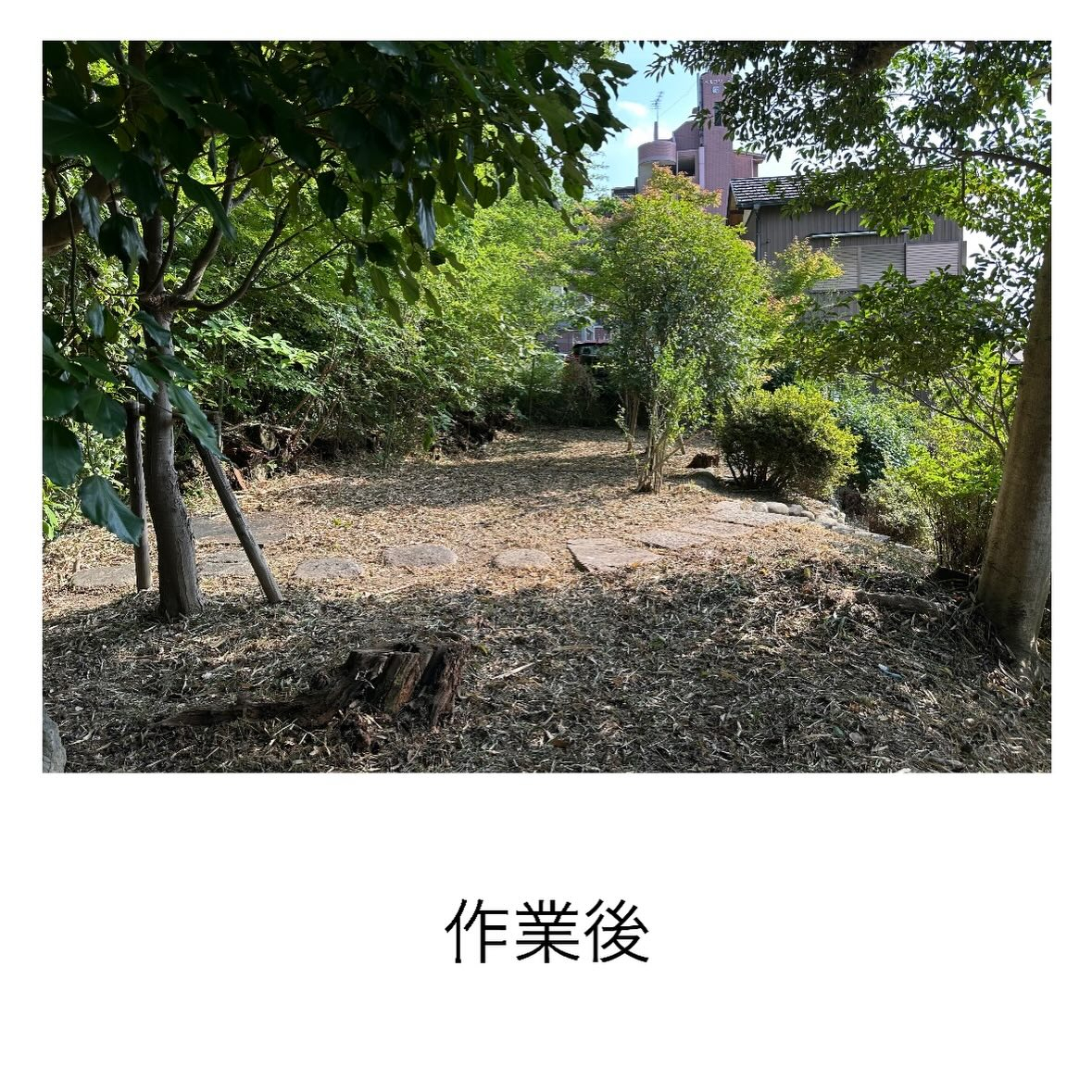 ・・・・・・・・・・・・・・・・・・・・・・・・・・
