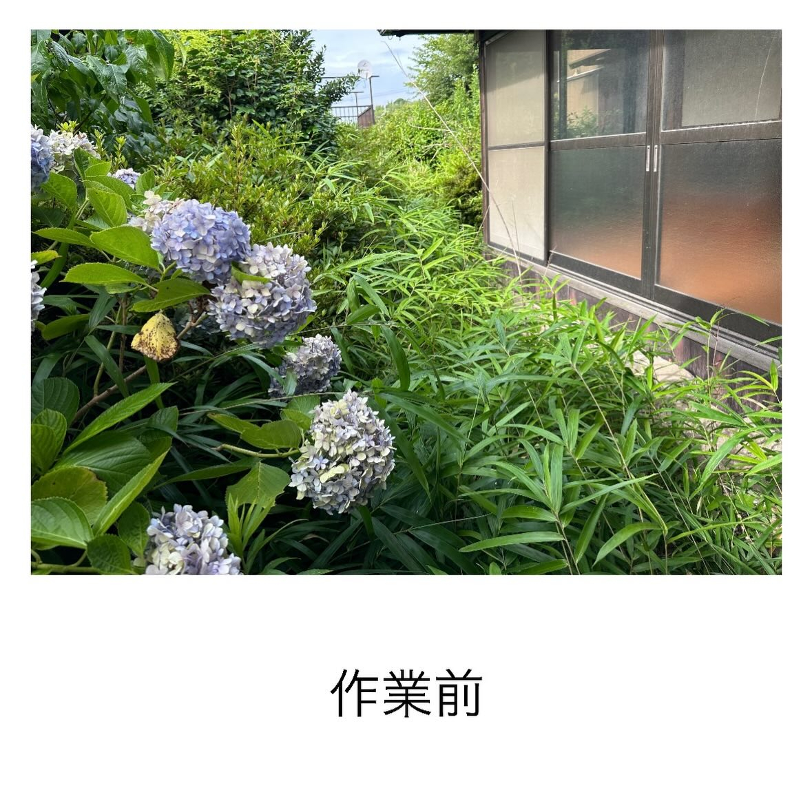 ・・・・・・・・・・・・・・・・・・・・・・・・・・