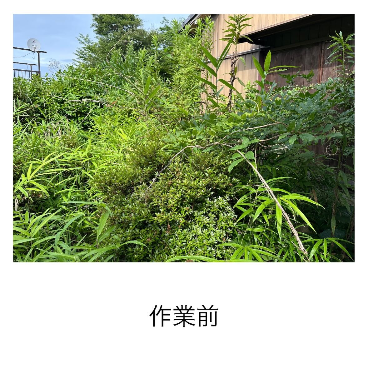 ・・・・・・・・・・・・・・・・・・・・・・・・・・