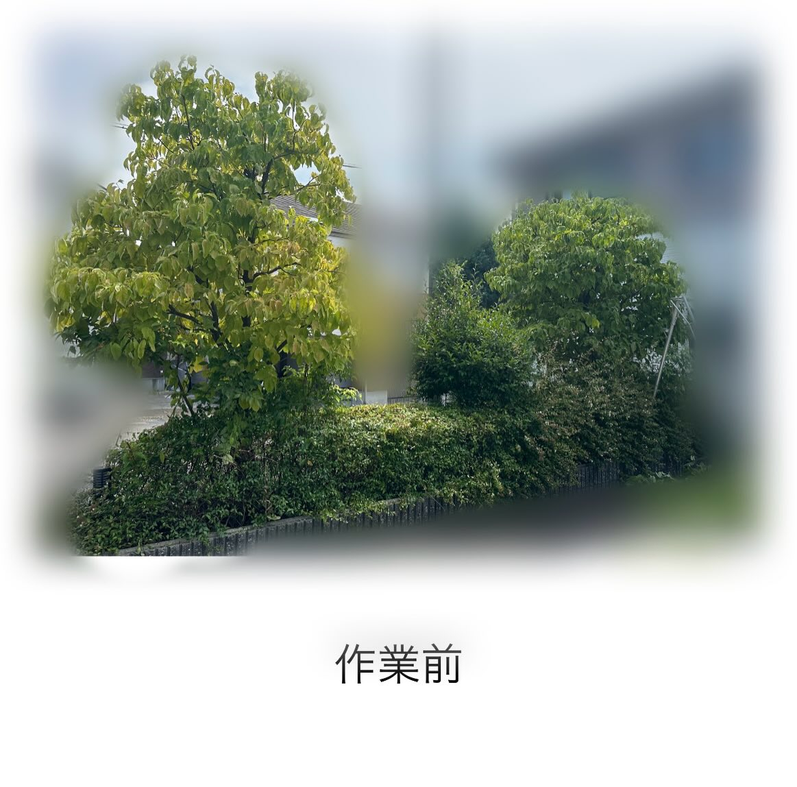 ・・・・・・・・・・・・・・・・・・・・・・・・・・