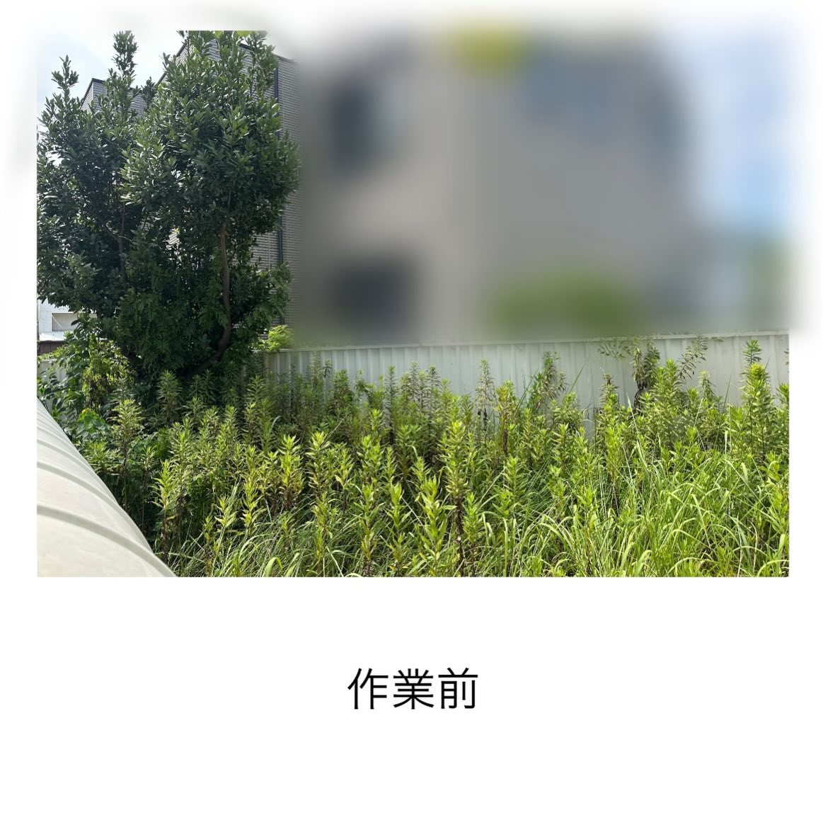 ・・・・・・・・・・・・・・・・・・・・・・・・・・
