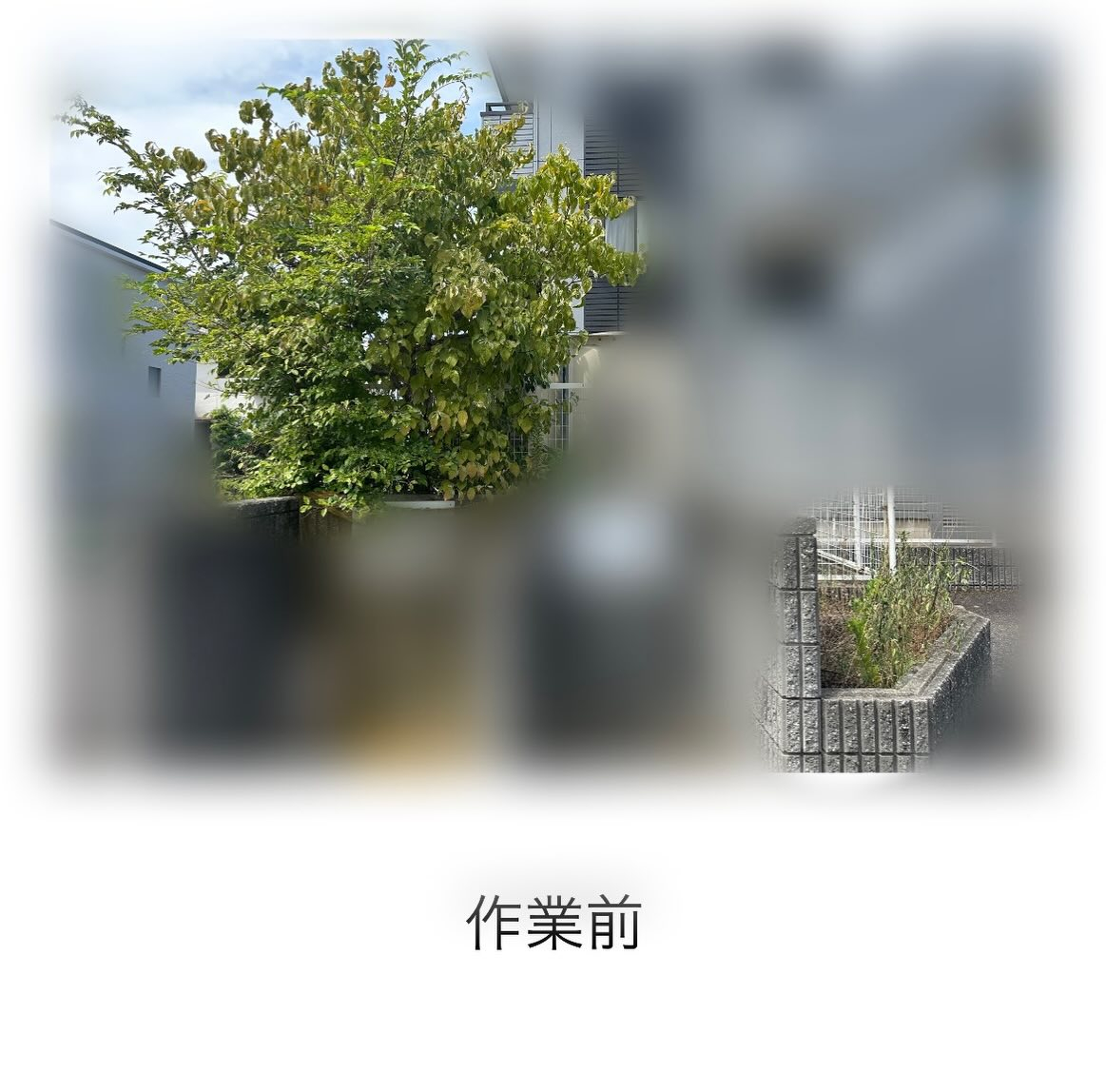 ・・・・・・・・・・・・・・・・・・・・・・・・・・